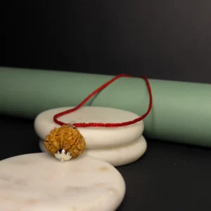 10-Mukhi Nepali Rudraksh